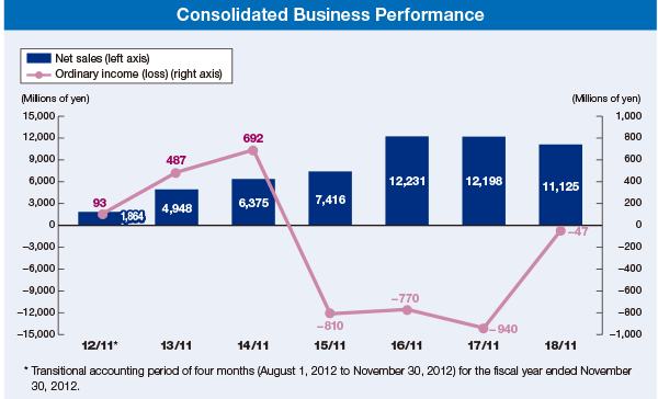 Consolidated Business Performance