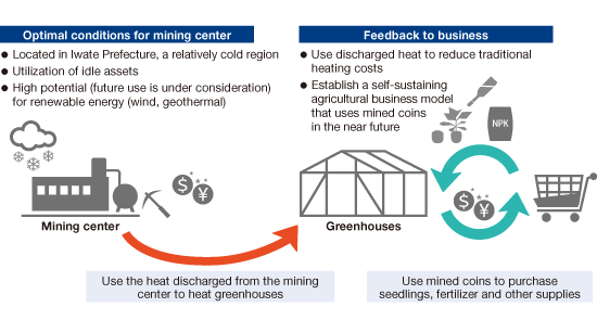 Image of purchasing seedlings from coins from tomato cultivation by heat by mining