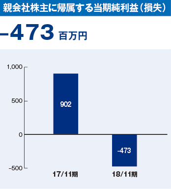 親会社株主に帰属する当期純利益（損失）