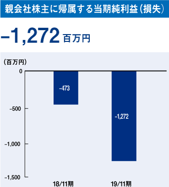 親会社株主に帰属する当期純利益（損失）